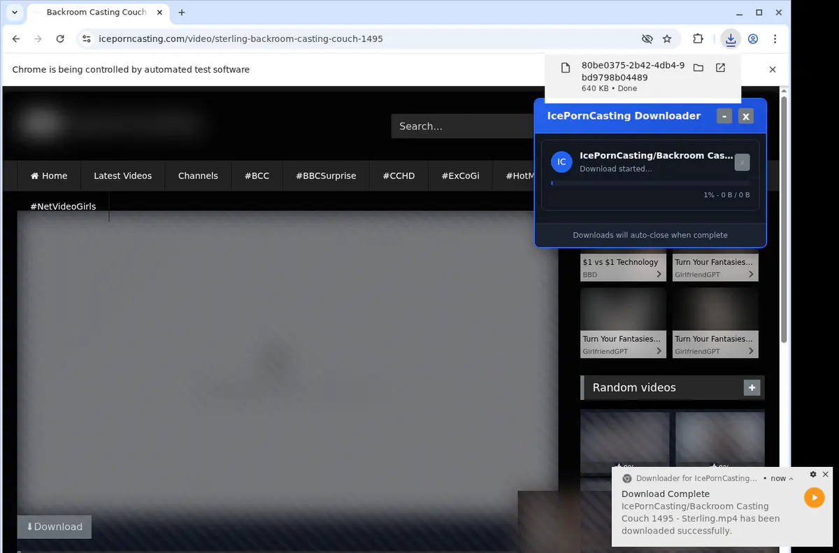 Iceporncasting Video Downloader browser extension screenshot 2